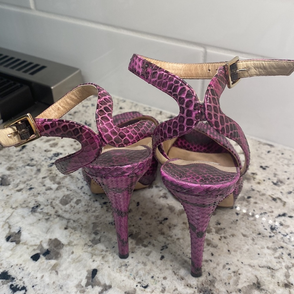 Python Jimmy!  In fab shape! - Picture 4 of 5